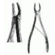 Small Breed Forceps