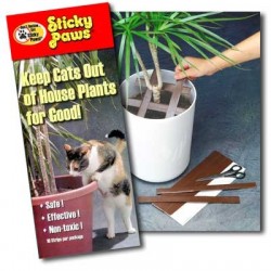 Sticky Paws For Plants