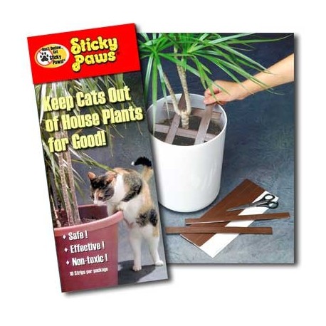 Sticky Paws For Plants