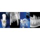 Veterinary Dental X-Ray Positioning Guide