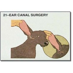 Edupad Ear canal surgery