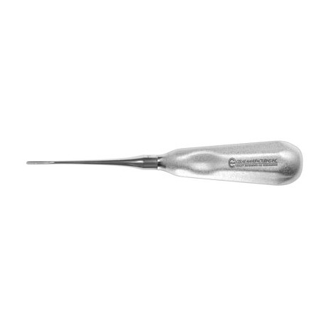 Holmstrom Modified Feline Surgical Elevator 2mm